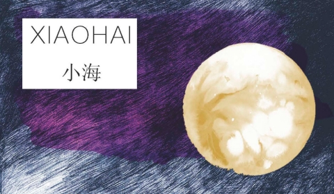 antología de poemas bilingüe (chino-español) del poeta chino Xiaohai